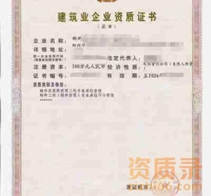 河南城市及道路照明一级