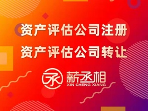 北京中字头资产评估公司转让