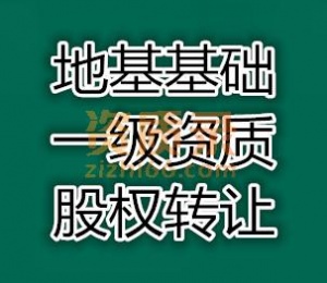 浙江地基基础一级资质股权转让