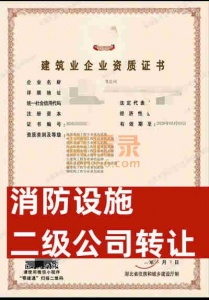 湖北省武汉市消防设施专业承包二级资质公司转让
