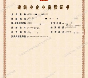 装饰装修专包一级资质