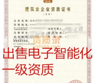 陕西电子与智能化一级