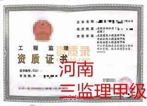 河南三监理资质