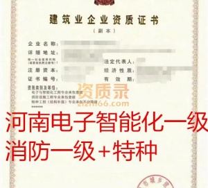 河南电子与智能化一级消防设施一级特种不分等级