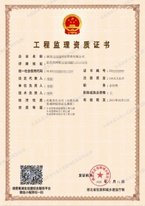 最新现货鉴赏