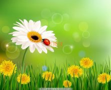 注册私募基金公司经营范围加私募投资基金管理