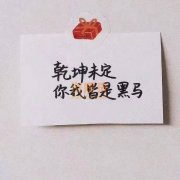 转让郑州水利乙+市政乙+房建乙+模板已换证