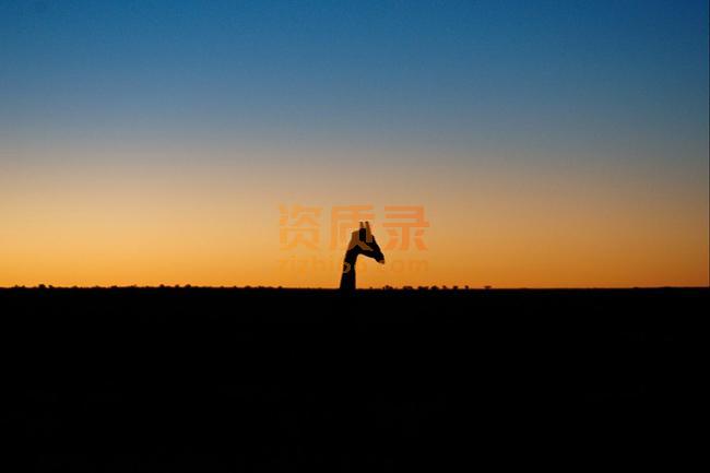 拍卖公司注册代办拍卖许可证 拍卖公司注册代办拍卖许可证