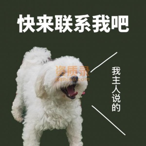 浙江省建筑资质代办 监理双乙资质出售