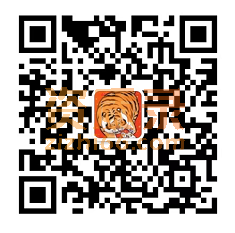 海内外公司注册，年审，审计