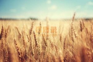 办理国家局公司核名材料和流程