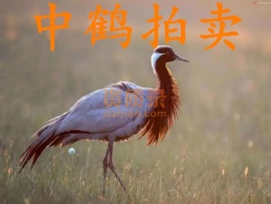 中字头国家局拍卖公司 带拍卖许可证转让