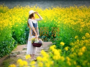 山东临沂拍卖公司注册需要什么手续和资料