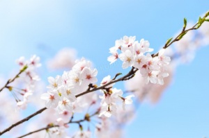 国家局核名流程和条件