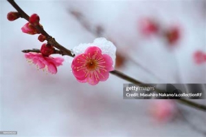 现有河南房建总包二市政二电力二机电石油地基消防机电安装14项专包股权转让！